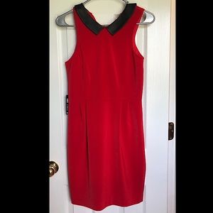 🔥NWT🔥EXPRESS Sheath Dress